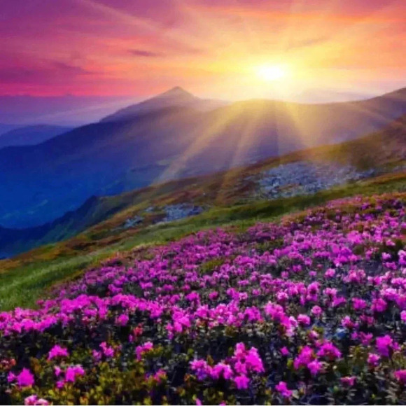 🇨🇦🆕5th Avenue Swarovski Crystal  Earrings - Picture 15 of 15